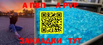 шишки Можга
