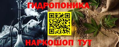 шишки Можга
