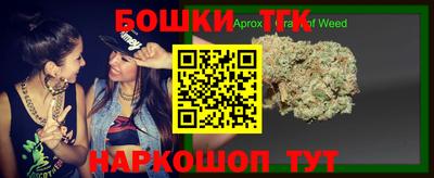 шишки Можга