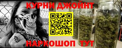 шишки Можга