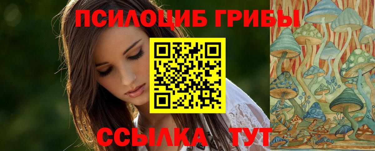 Псилоцибиновые грибы мицелий Вичуга